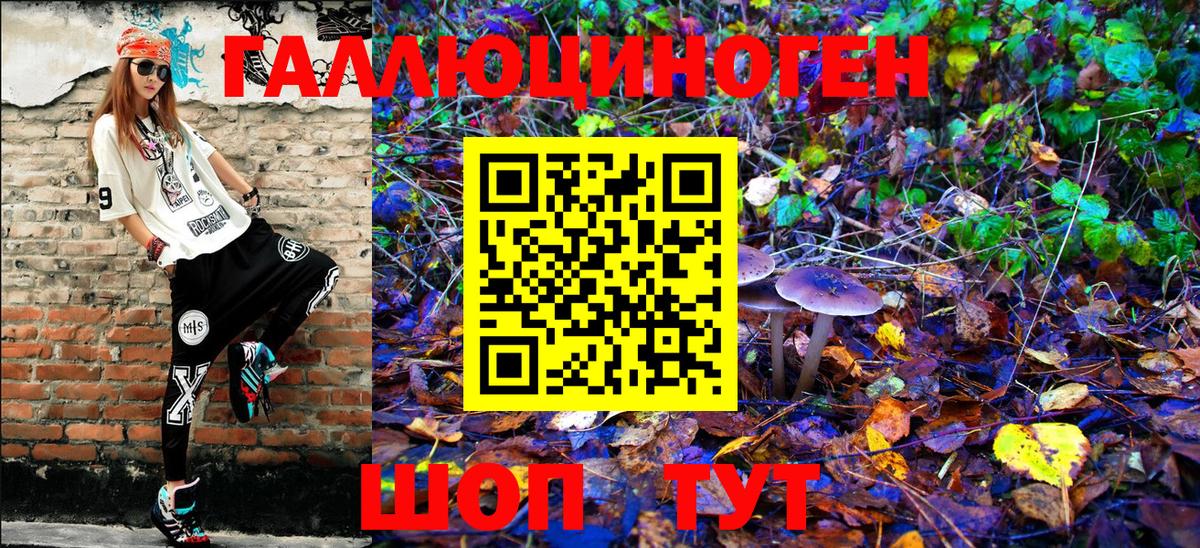 Дятьково  Псилоцибиновые грибы мухоморы  Вход с VPN 